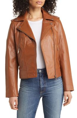 Sam Edelman Water Resistant Leather Moto Jacket in Cognac