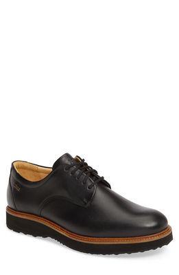 Samuel Hubbard Rainy Day Founder Plain Toe Derby in Black Leather