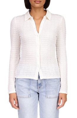 Sanctuary Candy Knit Shirt in Powdered S