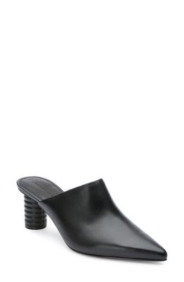 Sanctuary Swag Pointed Toe Mule in Black