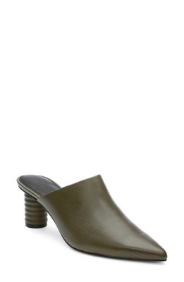 Sanctuary Swag Pointed Toe Mule in Olive Oil
