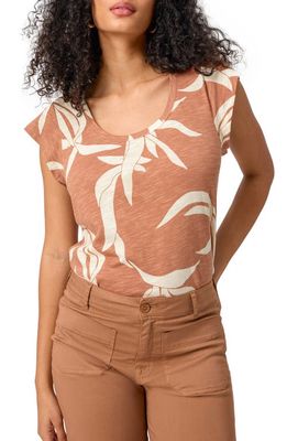 Sanctuary West Side Foliage Print Slub Jersey T-Shirt in First Bloom at Nordstrom, Size Xx-Large