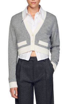 sandro Asria Crop Wool & Cashmere Blend Cardigan in Grey