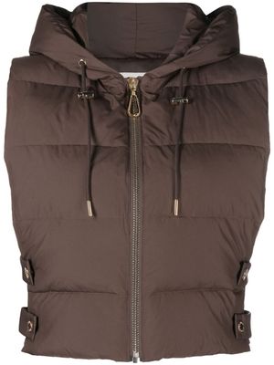 SANDRO cropped hooded padded gilet - Brown