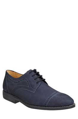 Sandro Moscoloni Avery Cap Toe Derby in Navy