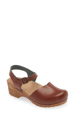 Sanita Sansi Clog in Chestnut