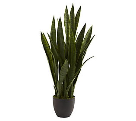 Sansevieria w/Black Planter by Nearly Natural