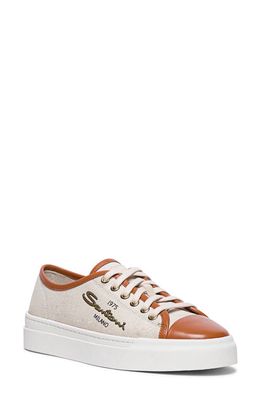 Santoni Caelum Sneaker in Beige
