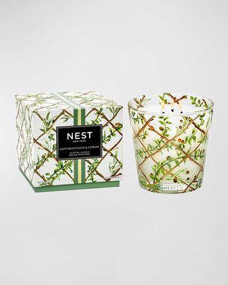 Santorini Olive and Citron Specialty 3 Wick Candle, 21.2 oz.