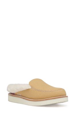 Sanuk Cozy Vibe Slipper in Doe