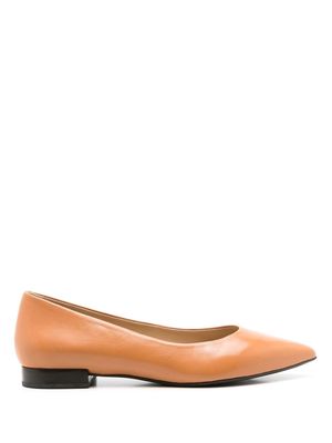 Sarah Chofakian Francesca leather ballerina shoes - Brown