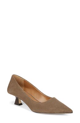 SARTO by Franco Sarto Diva Kitten Heel Pointed Toe Pump in Woodsmoke