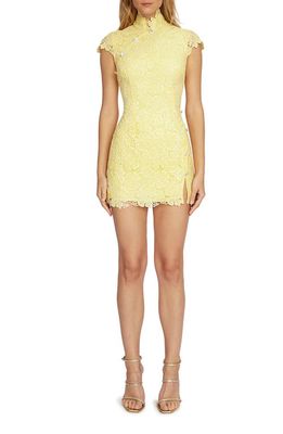 SAU LEE Rae Lace Overlay Sheath Dress in Lemon Yellow