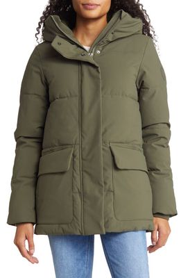 Save The Duck Bessie Water Resistant Faux Shearling Lined Recycled Polyester Coat in Laurel Green