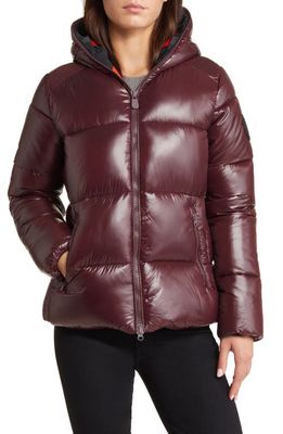 Save The Duck Lois Water Repellent Puffer Jacket in Burgundy Black