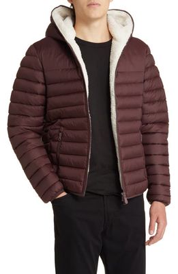 Save The Duck Morus Water Resistant Hooded Puffer Jacket in Burgundy Black