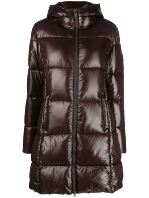 Save The Duck padded hooded jacket - Brown