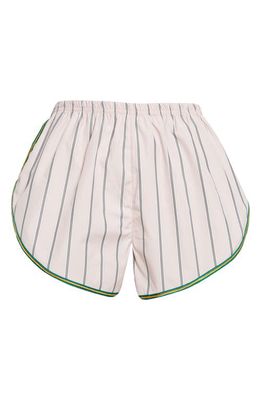 SC103 Beam Stripe Shorts in Crush