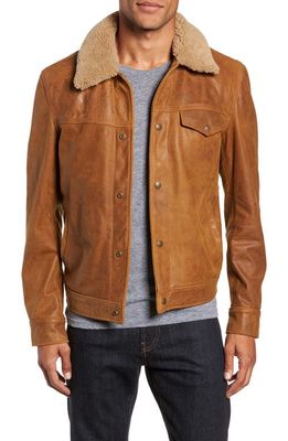 Schott NYC Leather Trucker Jacket with Genuine Sheepskin Collar in Sycamore 