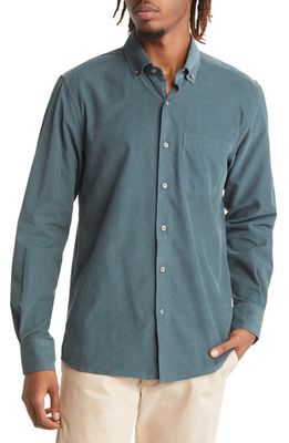 Scott Barber Solid Button-Down Baby Corduroy Shirt in Pine