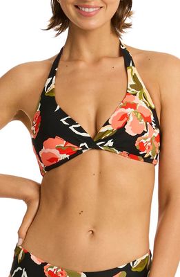 Sea Level Juniper Twist Front Multifit Bikini Top in Black 