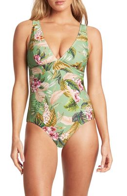 Sea Level Panel Line Multifit One-Piece Swimsuit in Green