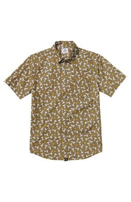 SEAESTA SURF x Peanuts® Men's Joe Cool Button-Up Shirt in Olive