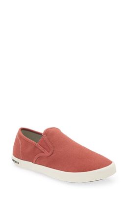 SeaVees Baja Standard Slip-On Sneaker in Red Ochre