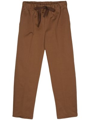 Semicouture elasticated-waistband cotton trousers - Brown
