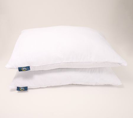 Serta Set of 2 Quilted Natural Fill Pillows- Standard/Queen