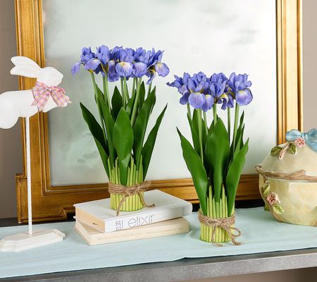 Set of 2 14.5" Iris Bundles by Valerie