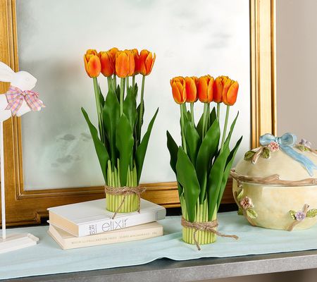 Set of 2 14.5 Tulip Bundles by Valerie