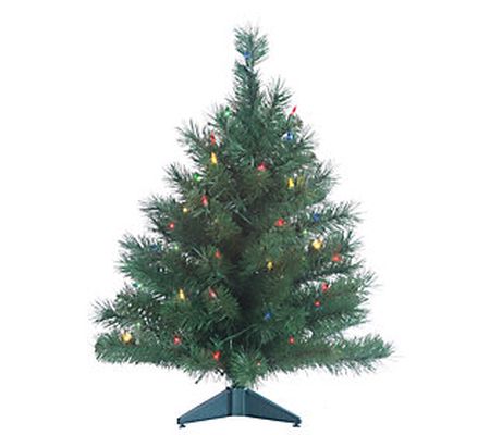 Set of 2 2' Pre-Lit Colorado Spruce by Sterling Co.