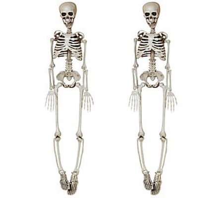 Set of 2, 36" Spooky Hanging Skeletons by Gerso n Co