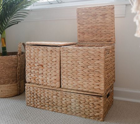 Set of 3 Collapsible Water Hyacinth Baskets by Lauren McBride