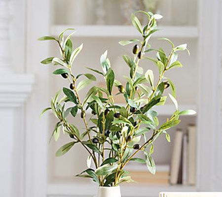 Set of 3 Faux Olive Branch Stems by Bright Bazaar