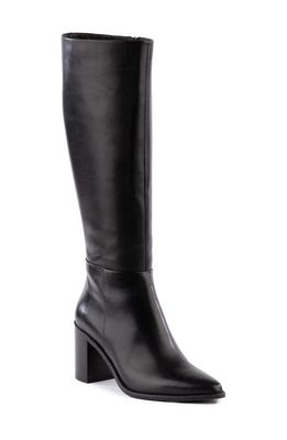 Seychelles So Amazing Knee High Boot in Black