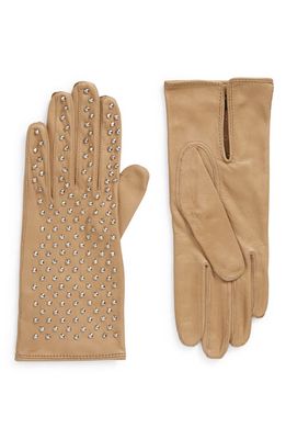 Seymoure Kelly Studded Leather Gloves in Nude
