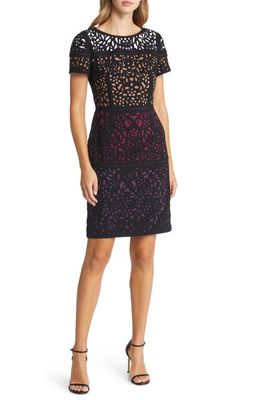 Shani Lace Colorblock Sheath Dress in Black/Berry