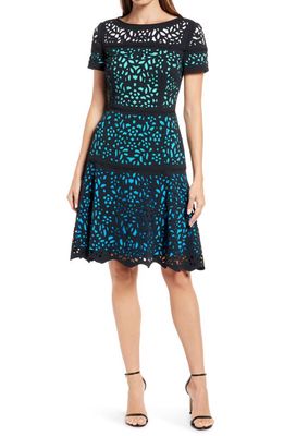 Shani Ombré Lace Fit & Flare Dress in Black/Teal
