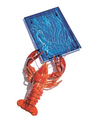 Shatterproof Lobster & Water Tray