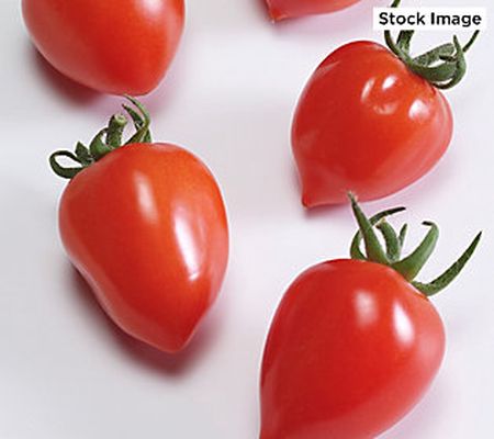 Ships 5/8 Avant Flora 3pc Heartbreaker Tomato Live Plants