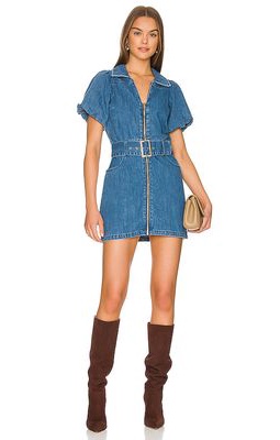 Show Me Your Mumu Oxford Mini Dress in Blue