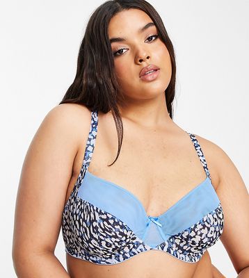 Simply Be mesh animal balcony bra in blue and pink