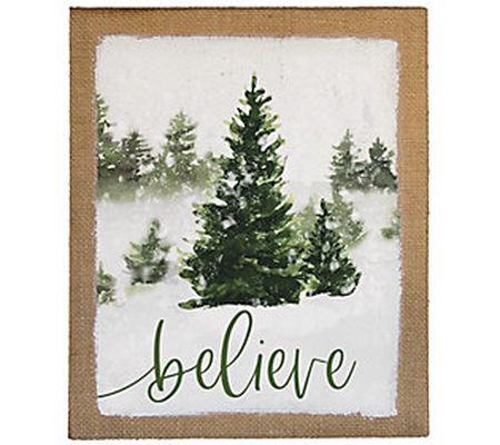 Sincere Surroundings 15" Believe Evergreen Canv as