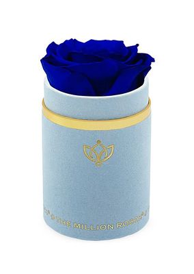 Single Rose In Light Blue Suede Box