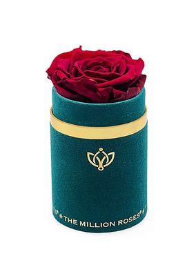 Single Rose In Suede Box