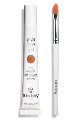 Sisley Paris Phyto-Cernes Éclat Eye Concealer in 6