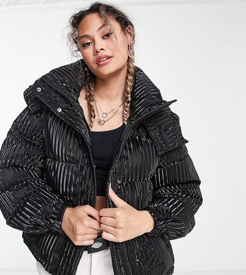 Sixth June Plus oversized hooded puffer jacket in ribbed iridescent effect-Black
