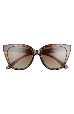 Smith Era 55mm Polarized Cat Eye Sunglasses in Vintage Tortoise /Brown